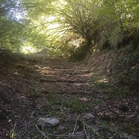 بيت ضيافة A Casa Da Titta San Martino d'Agri
